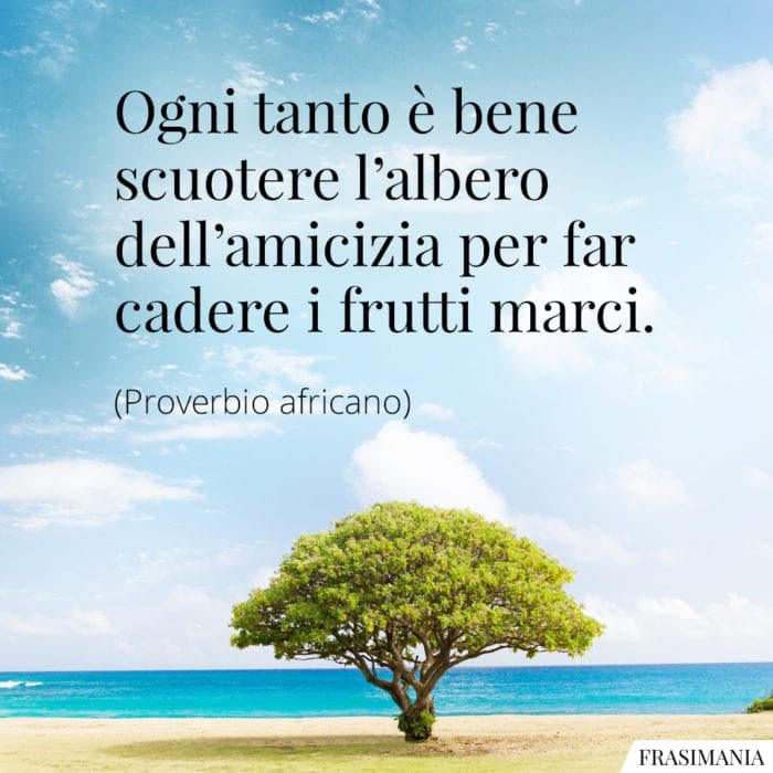 Ogni tanto è bene scuotere l'albero dell'amicizia per far cadere i frutti marci.