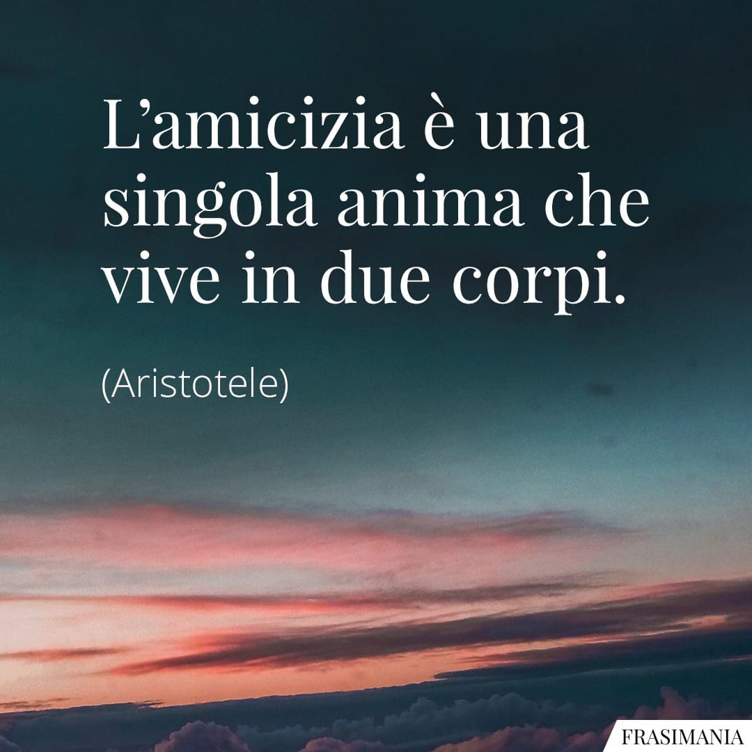 L'amicizia è una singola anima che vive in due corpi.