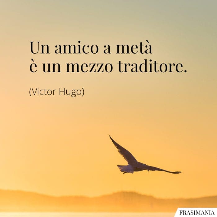 Frasi amico metà traditore Hugo