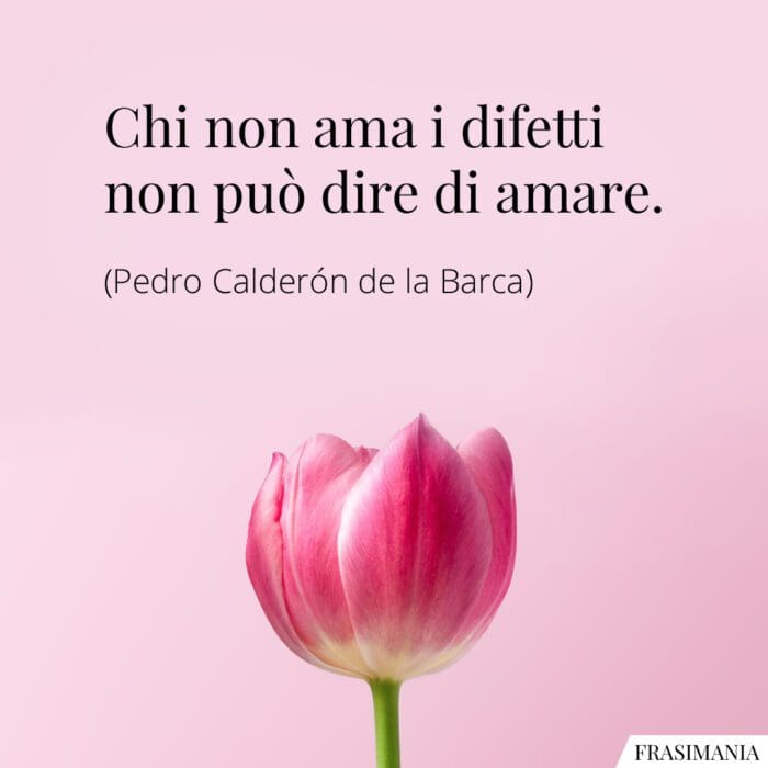 Chi non ama i difetti non può dire di amare.