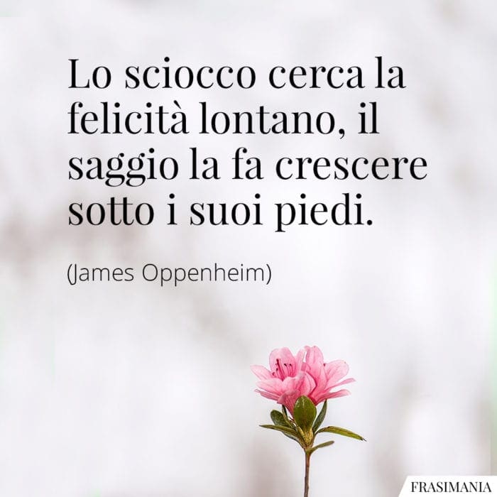 Lo sciocco cerca la felicità lontano, il saggio la fa crescere sotto i suoi piedi.