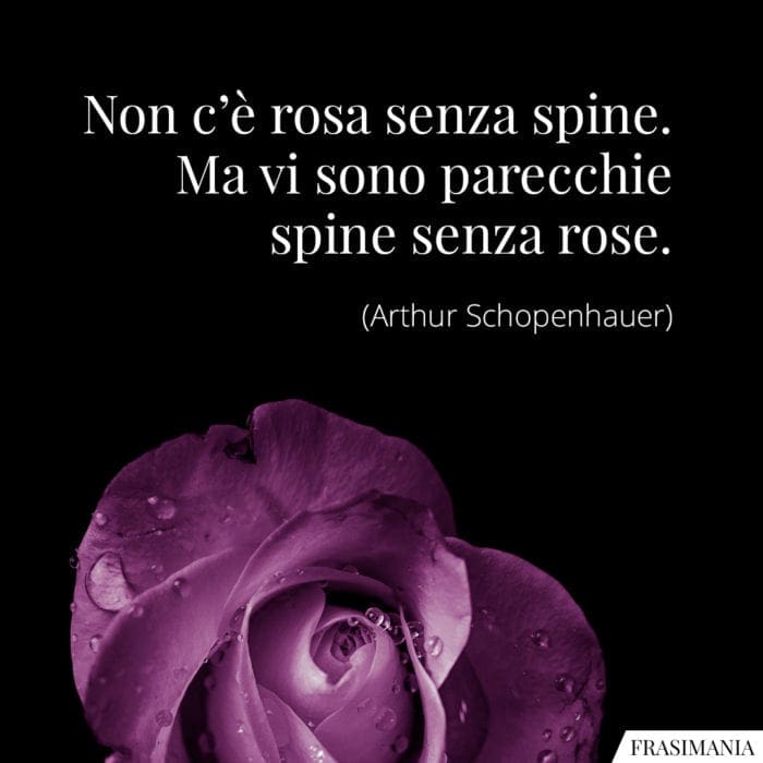 Non c'è rosa senza spine. Ma vi sono parecchie spine senza rose.