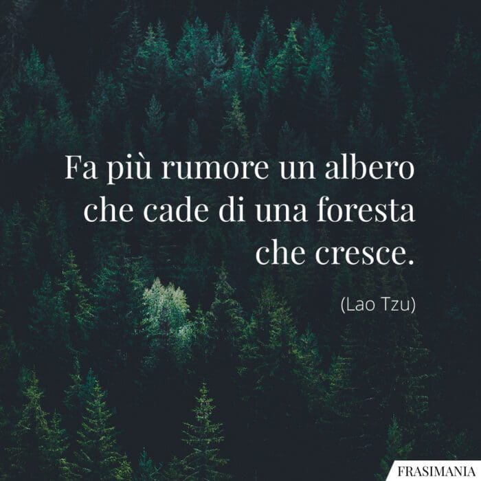 Frasi rumore albero foresta cresce