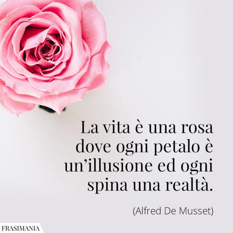 Frasi sulle Rose le 25 più belle (in inglese e italiano)