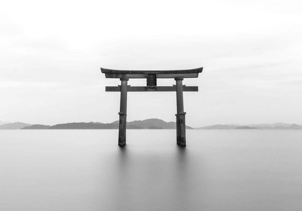 Frasi Zen sulla Vita: le 50 più belle e significative