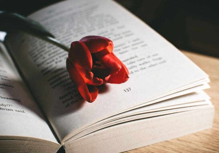 Frasi in latino sulla vita (con traduzione)