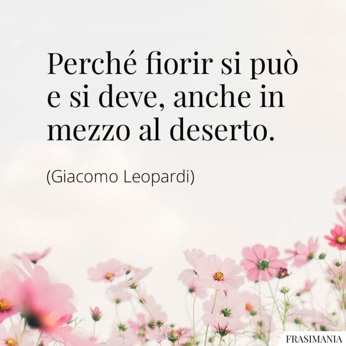 Frasi fiorir deserto Leopardi