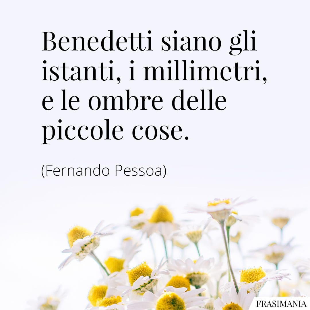 Benedetti siano gli istanti, i millimetri, e le ombre delle piccole cose.
