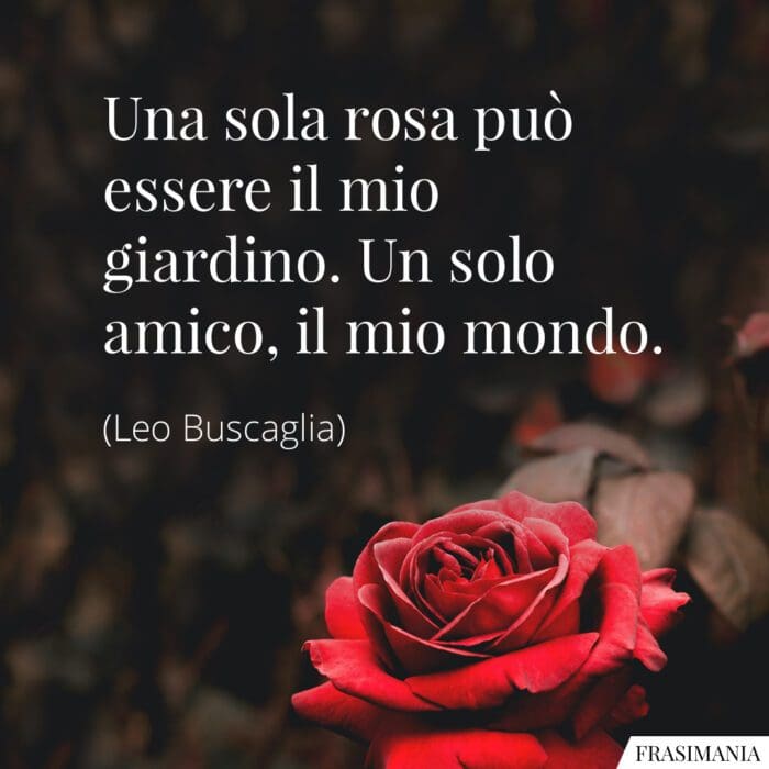 Frasi rosa amico mondo Buscaglia