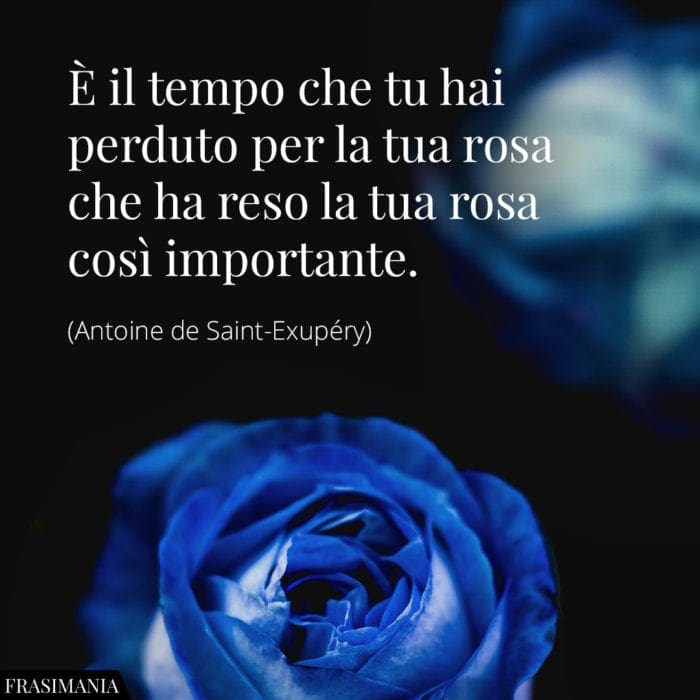 È il tempo che hai perduto per la tua rosa che ha reso la tua rosa così importante.