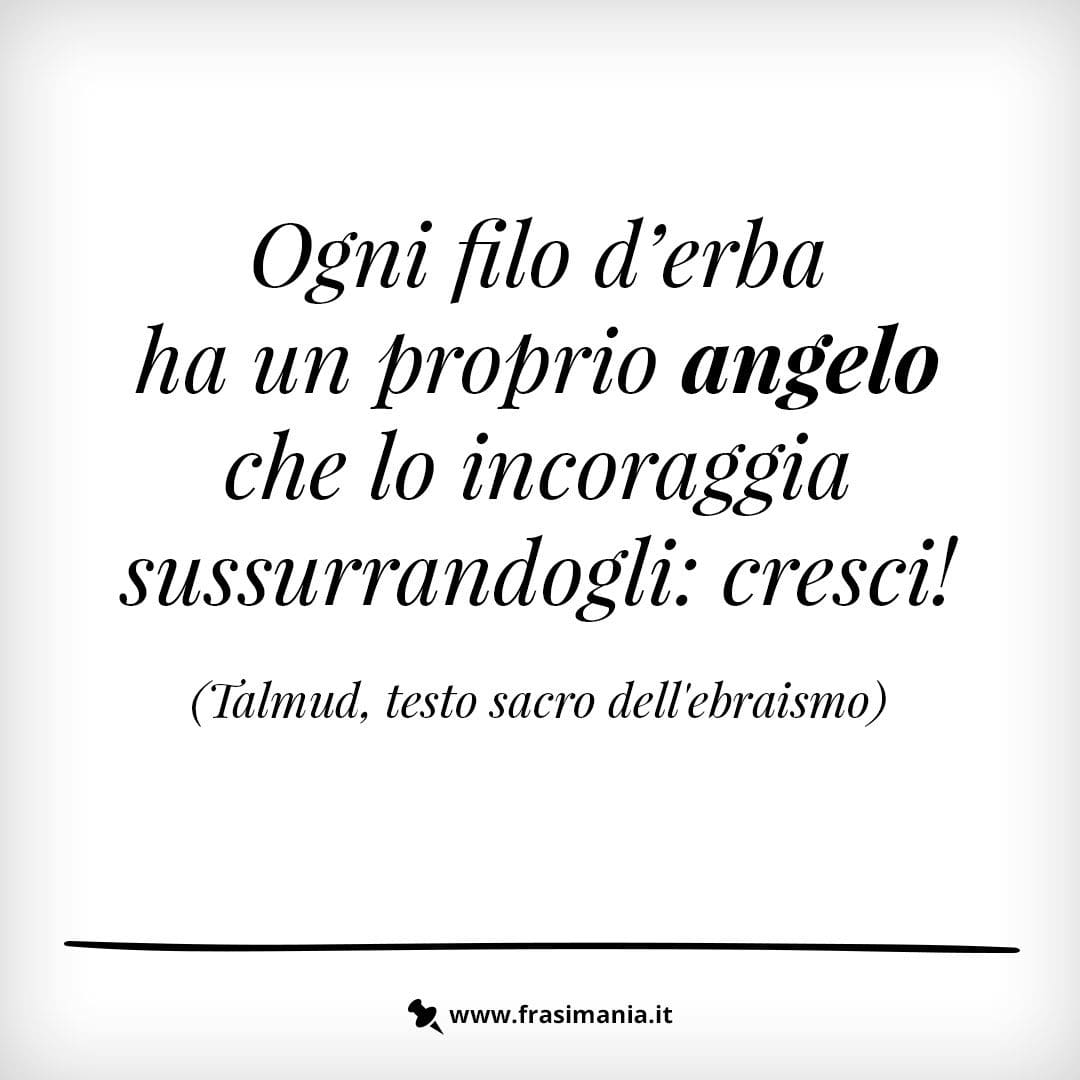 Ogni filo d'erba ha un proprio angelo che lo incoraggia sussurrandogli: cresci!