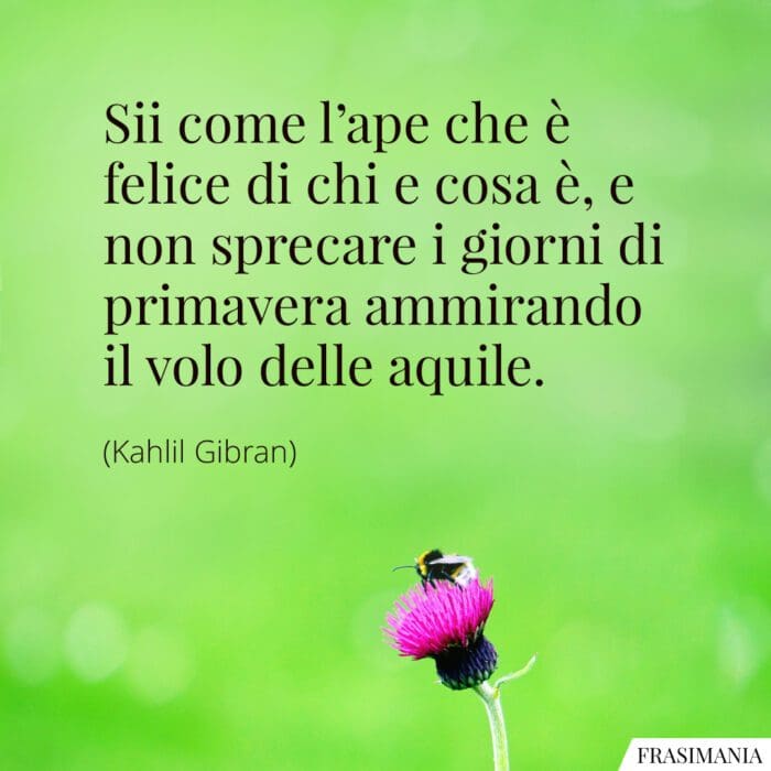 Frasi ape felice aquile Gibran