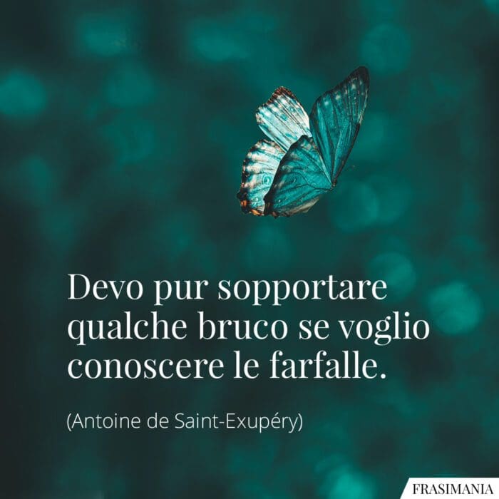 Devo pur sopportare qualche bruco se voglio conoscere le farfalle.