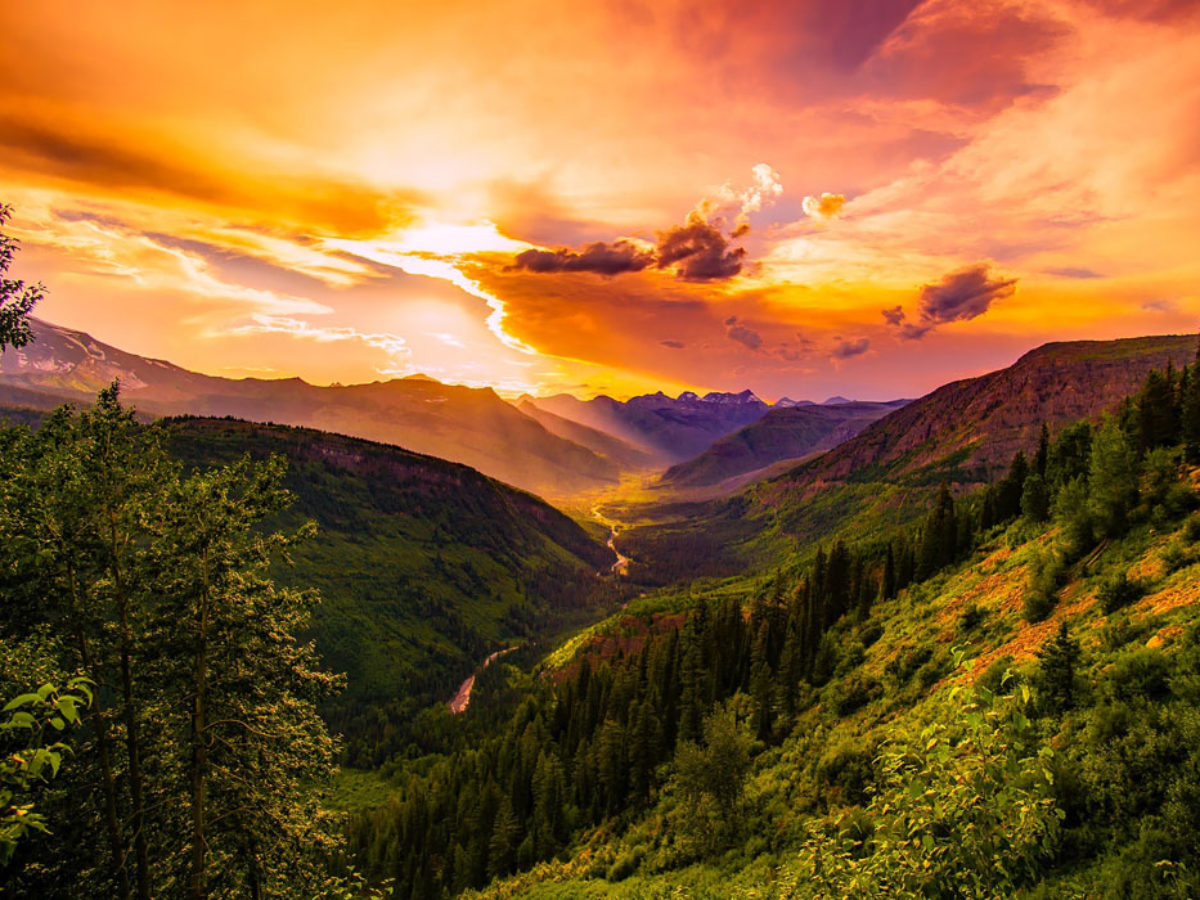 60 Splendide Frasi Sulla Bellezza Della Natura Trovafrasi