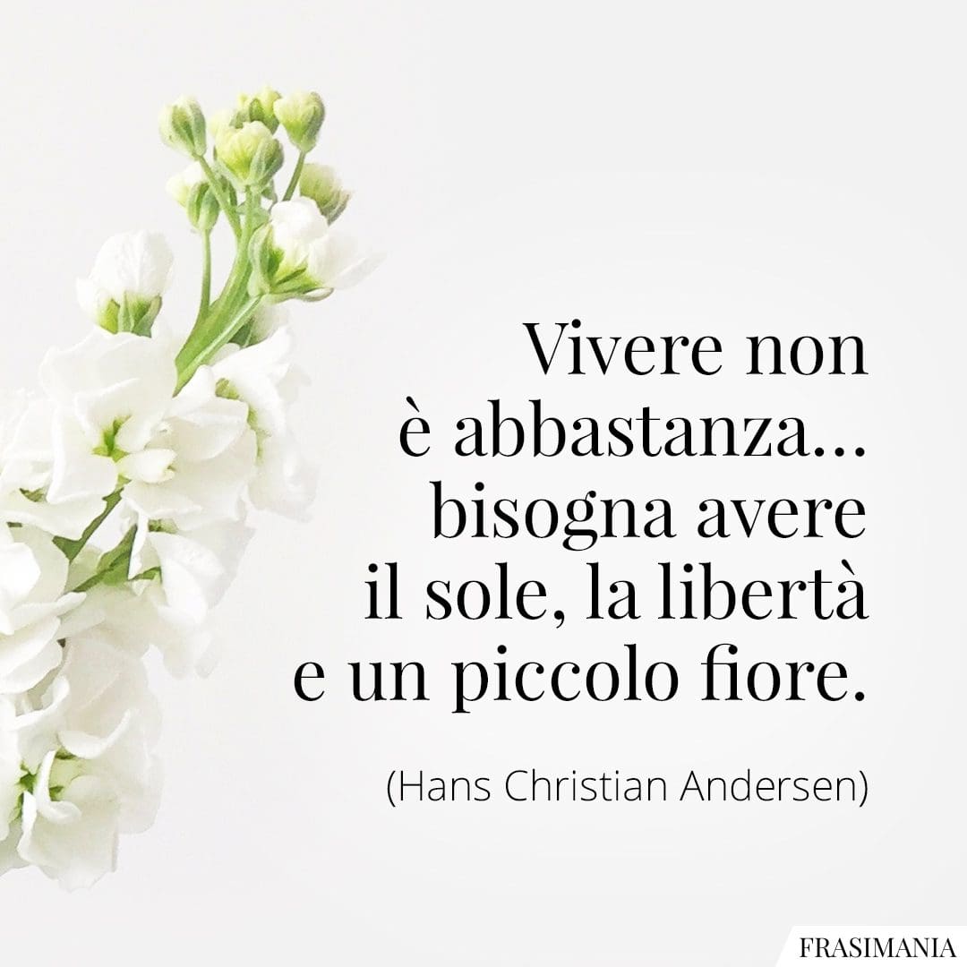Vivere non è abbastanza... bisogna avere il sole, la libertà e un piccolo fiore.