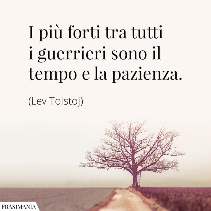 I più forti tra tutti i guerrieri sono il tempo e la pazienza.