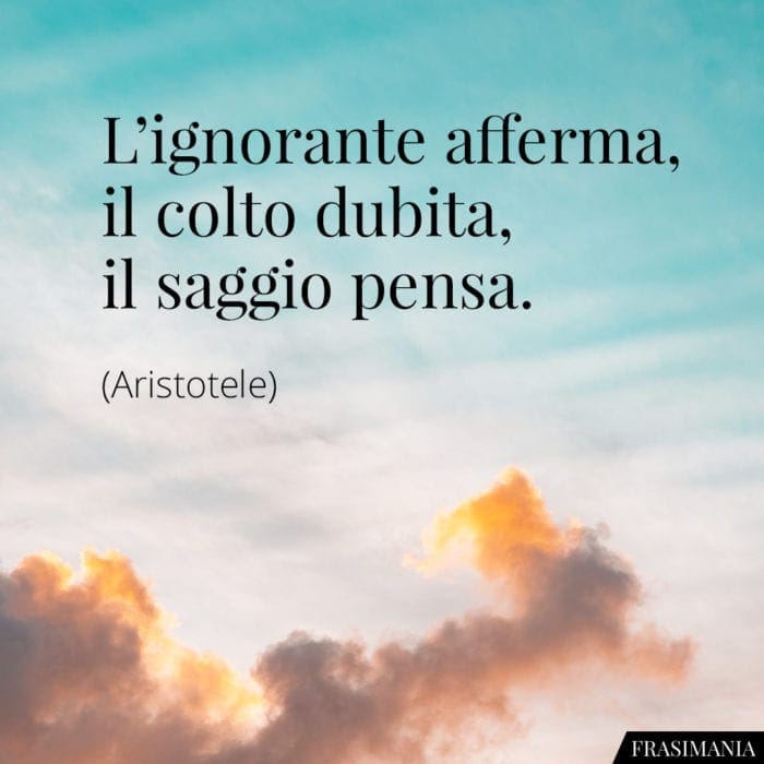 L'ignorante afferma, il colto dubita, il saggio pensa.