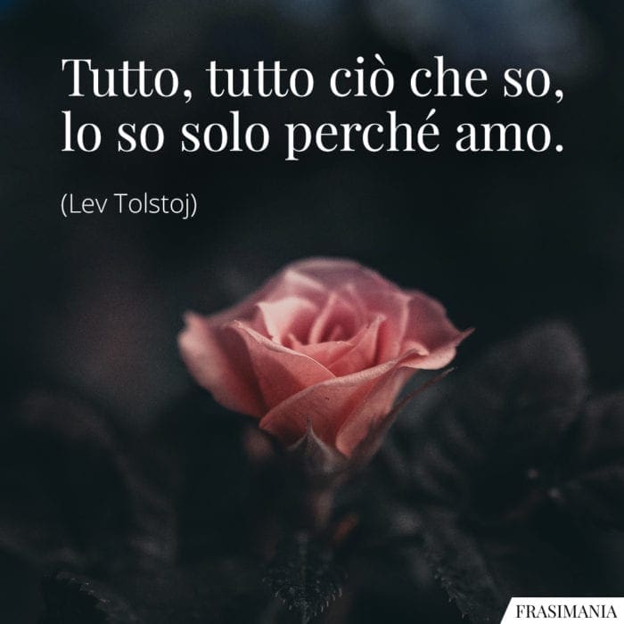 frasi-tutto-so-amo-tolstoj