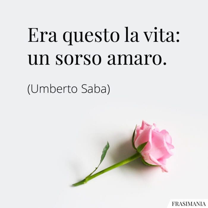 Frasi vita sorso amaro Saba