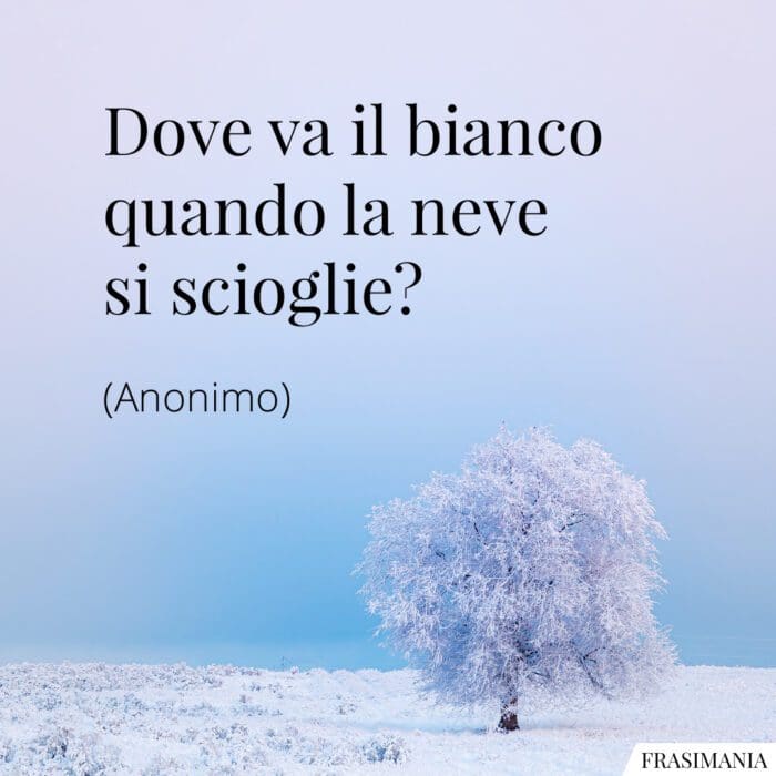 Dove va il bianco quando la neve si scioglie?