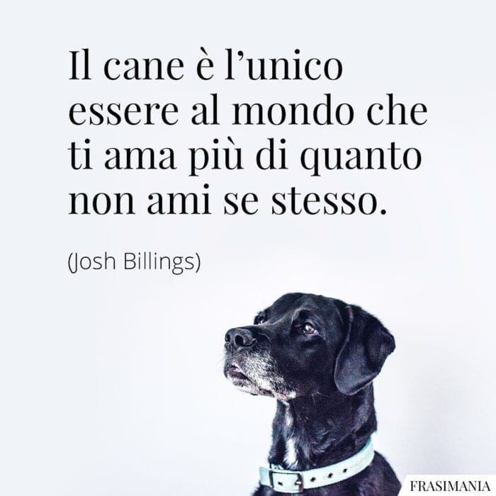 Frasi Sui Cani Con Immagini Le 45 Piu Belle In Inglese E Italiano