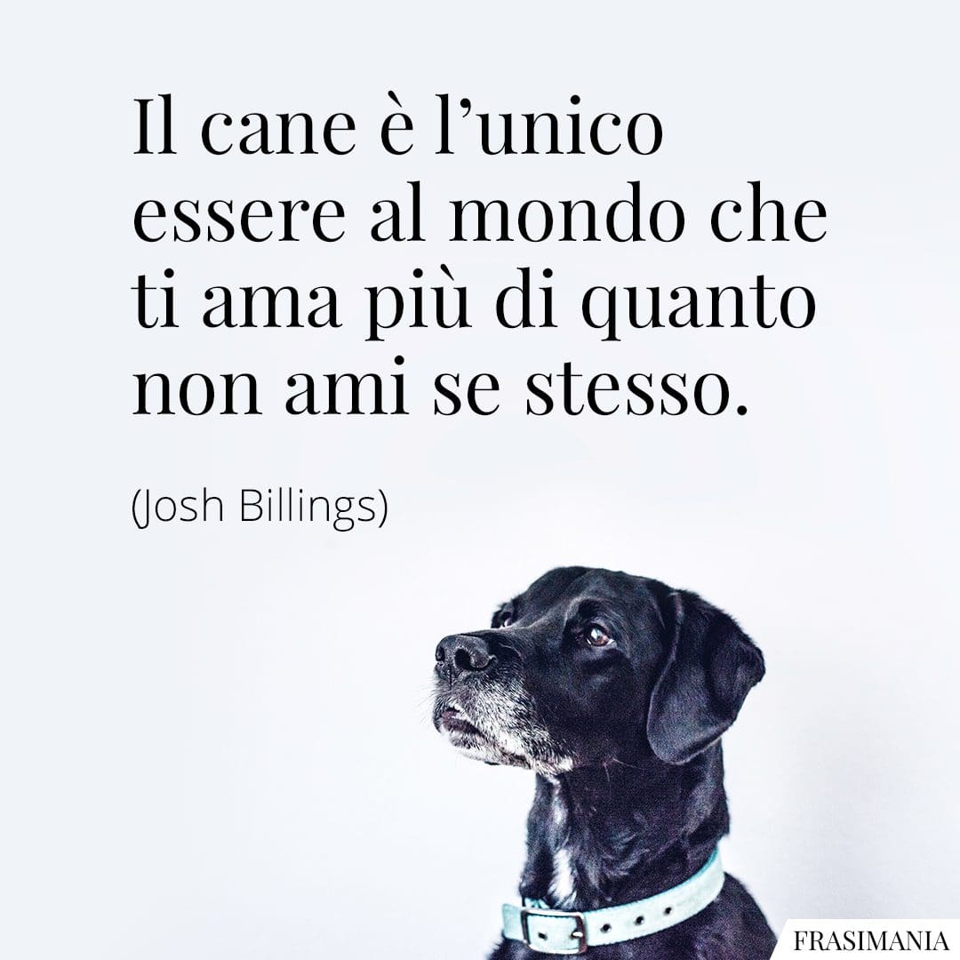 Il cane è l'unico essere al mondo che ti ama più di quanto non ami se stesso.