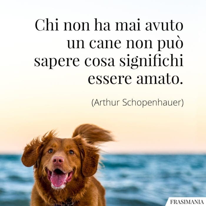 Chi non ha mai avuto un cane non può sapere cosa significhi essere amato.