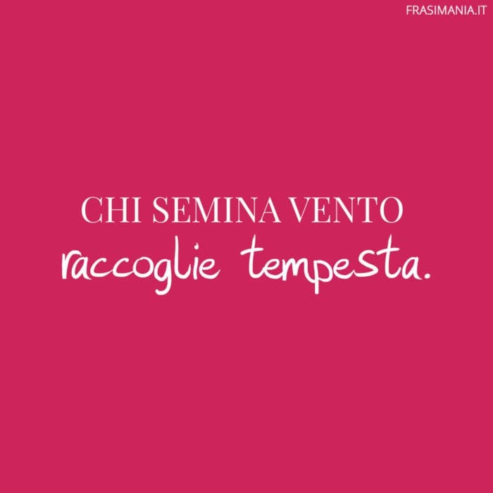 frasi-chi-semina-vento