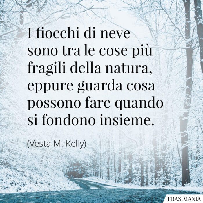 Frasi fiocchi neve fragili Kelly