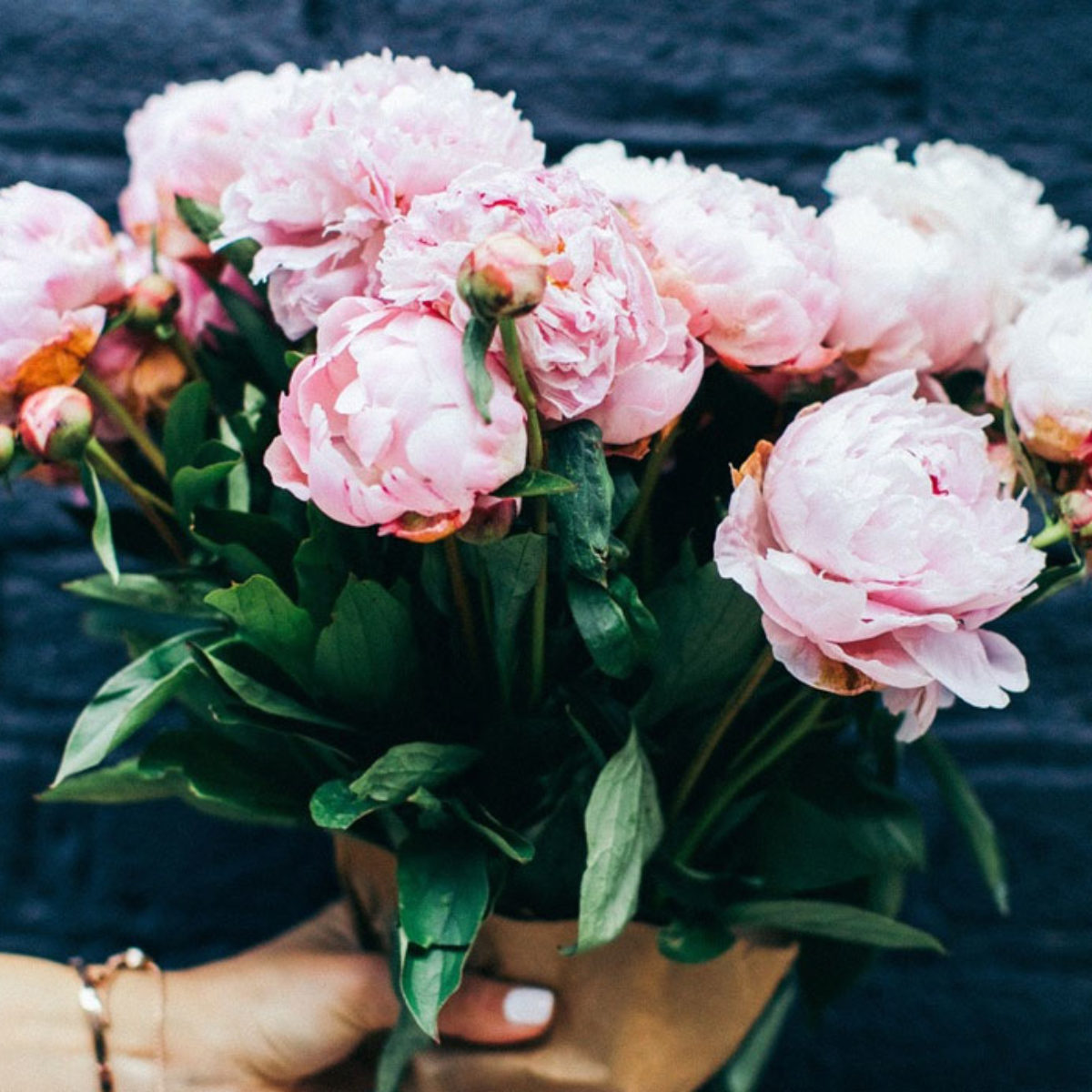 Frasi Sui Fiori Le 25 Più Belle In Inglese E Italiano