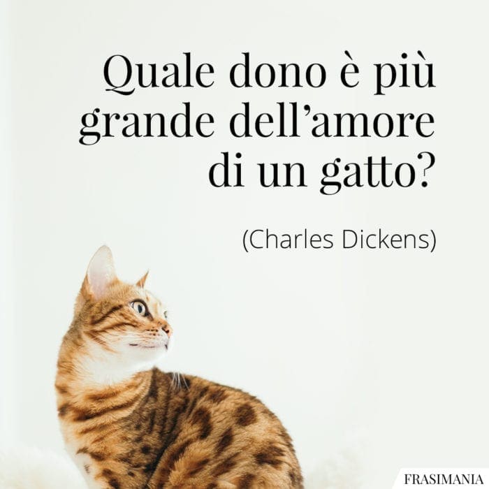 Quale dono è più grande dell'amore di un gatto?