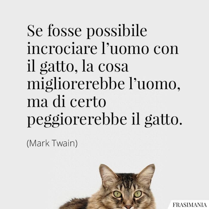 Se fosse possibile incrociare l'uomo con il gatto, la cosa migliorerebbe l'uomo, ma di certo peggiorerebbe il gatto.