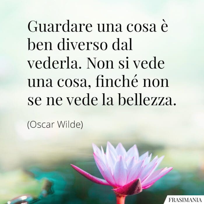 Guardare una cosa è ben diverso dal vederla. Non si vede una cosa, finché non se ne vede la bellezza.