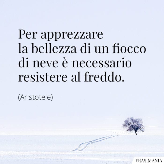 Frasi Sulla Neve Le 25 Più Belle E Poetiche In Inglese E