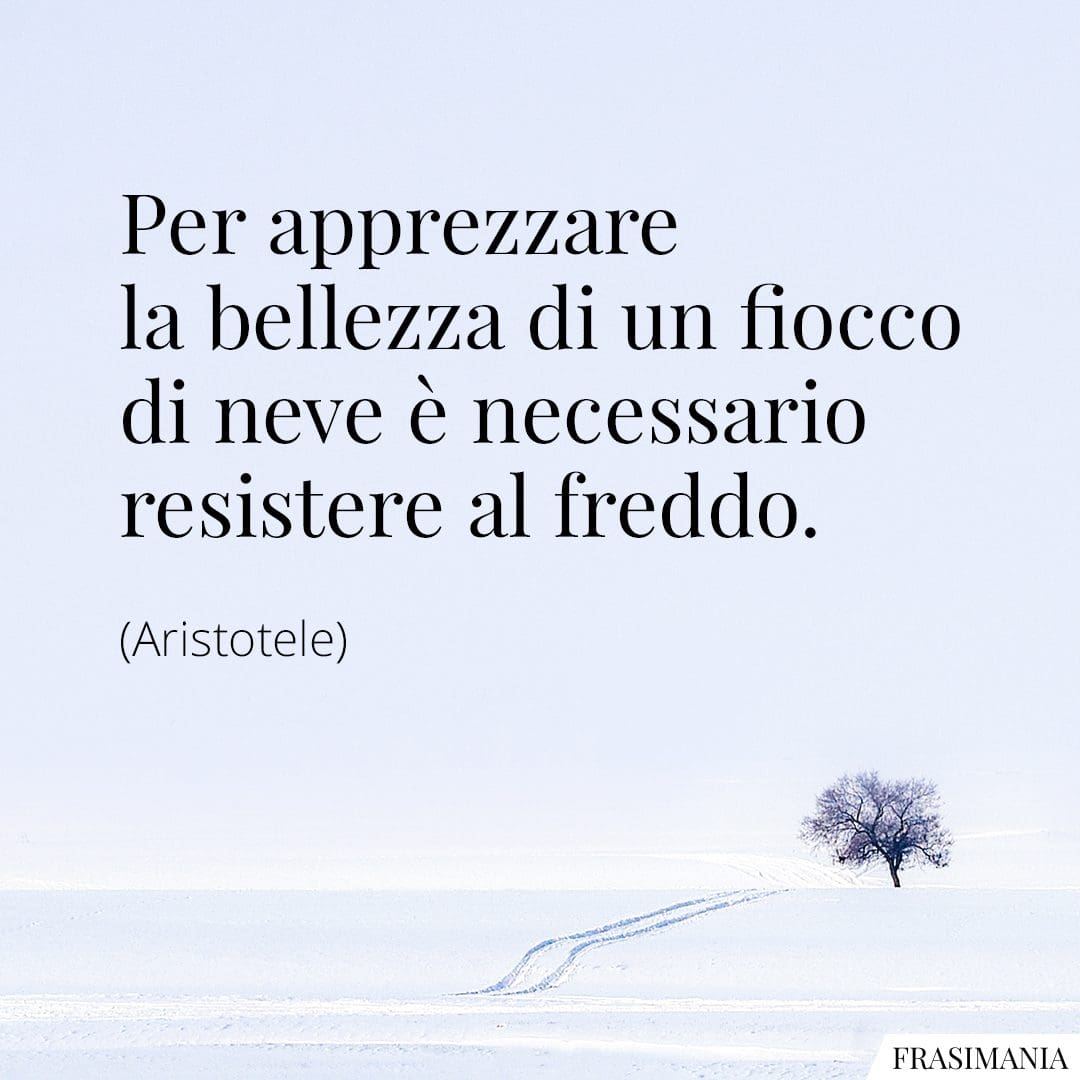 Per apprezzare la bellezza di un fiocco di neve è necessario resistere al freddo.