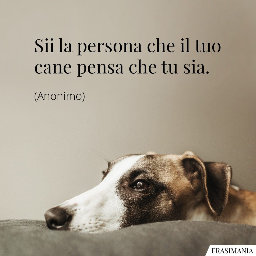 Sii la persona che il tuo cane pensa che tu sia.