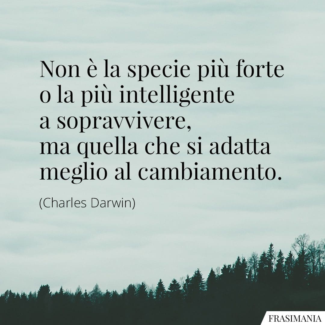 Non è la specie più forte o la più intelligente a sopravvivere, ma quella che si adatta meglio al cambiamento.