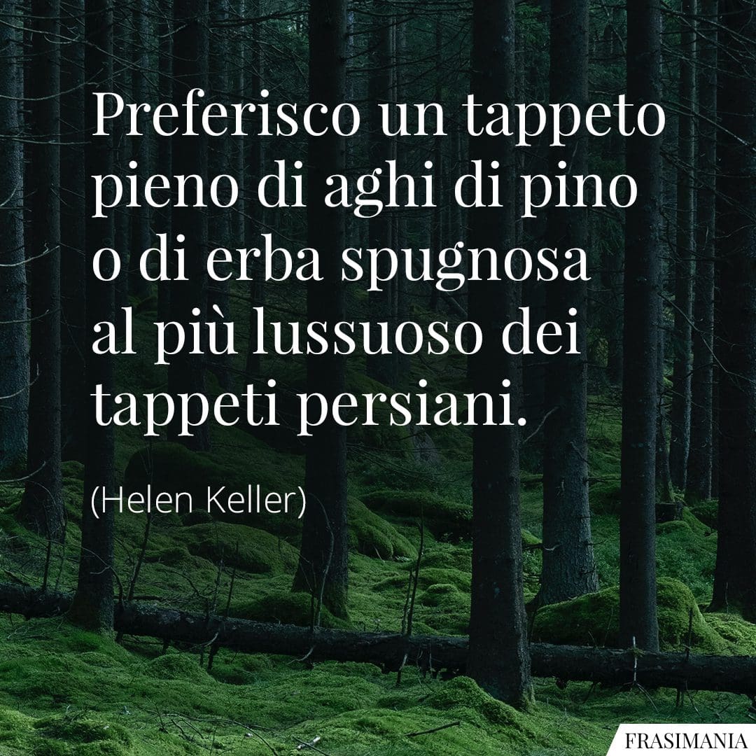 Preferisco un tappeto pieno di aghi di pino o di erba spugnosa al più lussuoso dei tappeti persiani.