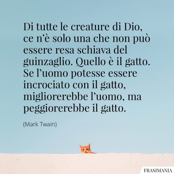 Di tutte le creature di Dio, ce n'è solo una che non può essere resa schiava del guinzaglio. Quello è il gatto. Se l'uomo potesse essere incrociato con il gatto, migliorerebbe l'uomo, ma peggiorerebbe il gatto.