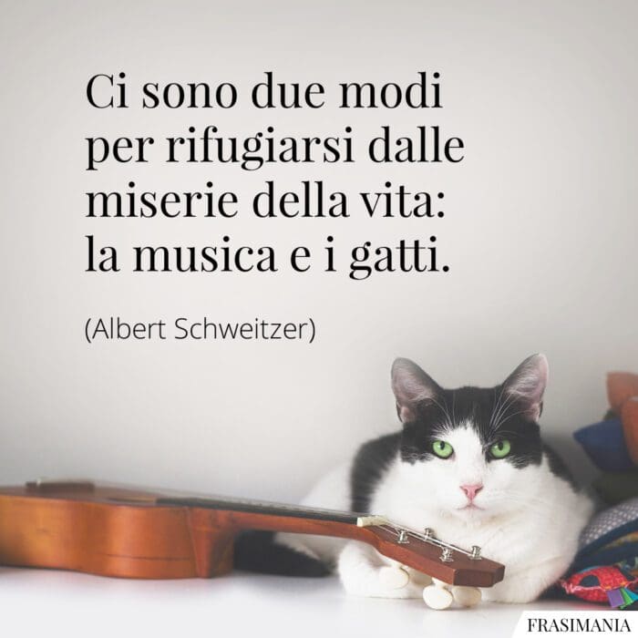 Ci sono due modi per rifugiarsi dalle miserie della vita: la musica e i gatti.