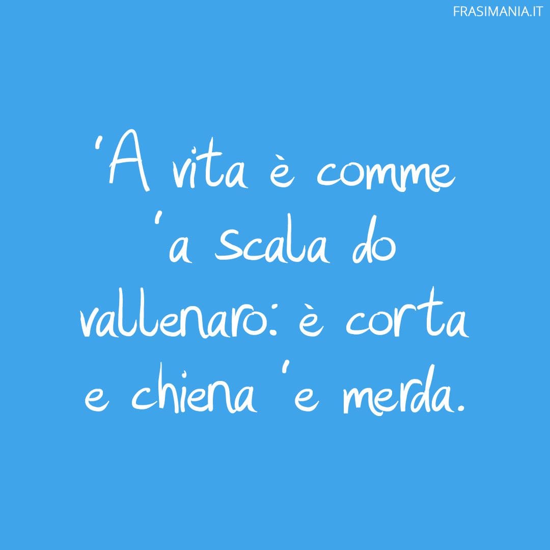 'A vita è comme 'a scala do vallenaro: è corta e chiena 'e merda.