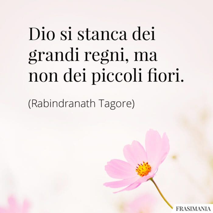 Dio si stanca dei grandi regni, ma non dei piccoli fiori.