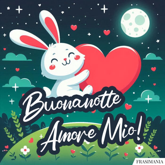 Buonanotte Amore Mio!