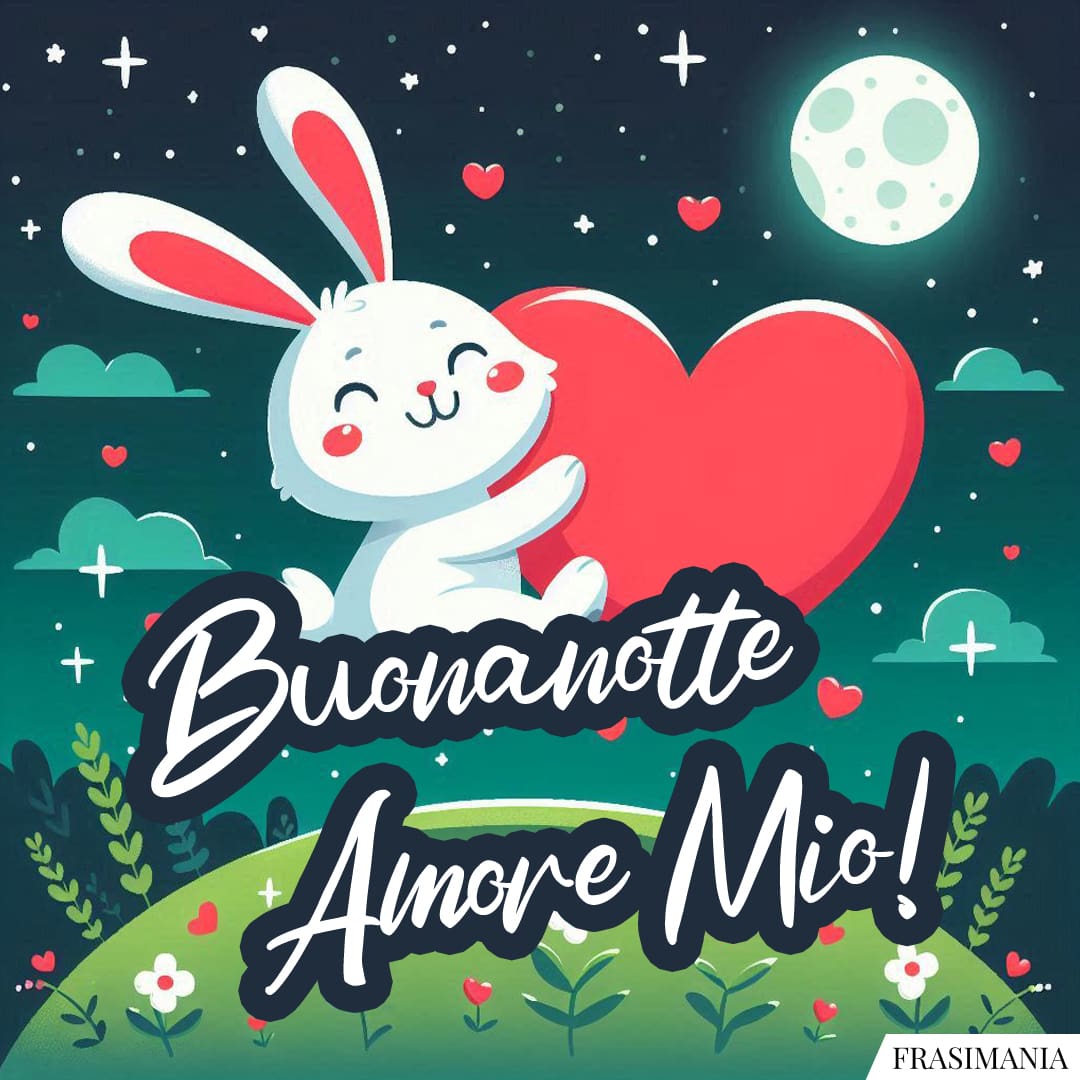 Buonanotte Amore Mio!