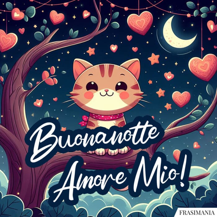 Buonanotte Amore Mio!