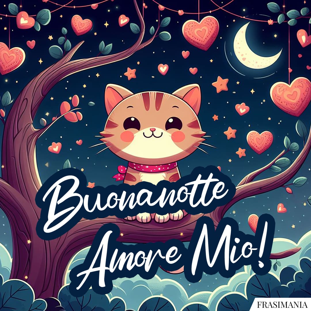 Buonanotte Amore Mio!