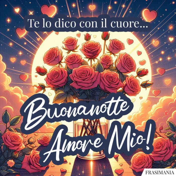 Te lo dico con il cuore… Buonanotte Amore Mio!