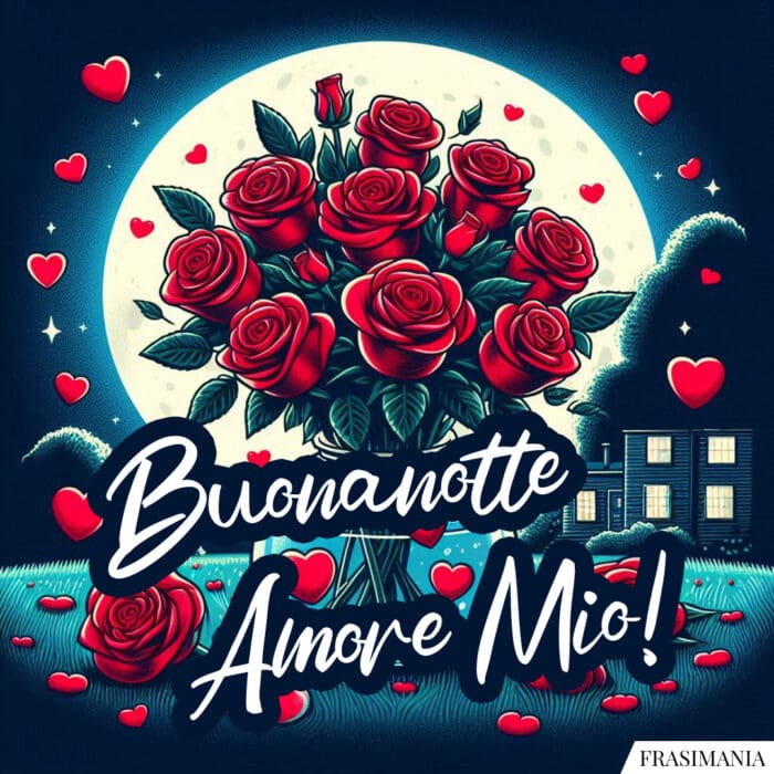 Buonanotte Amore Mio!