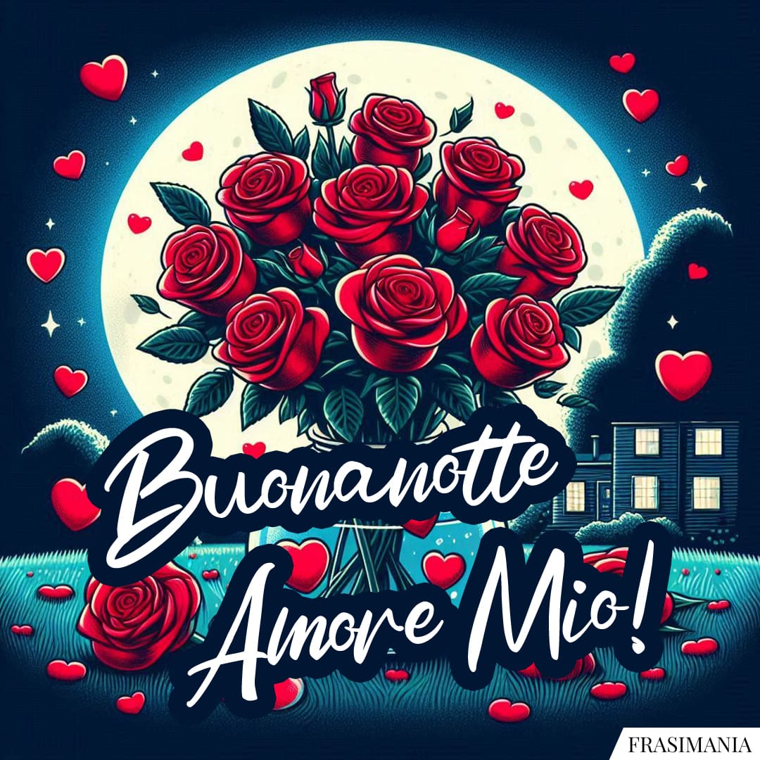 Buonanotte Amore Mio!
