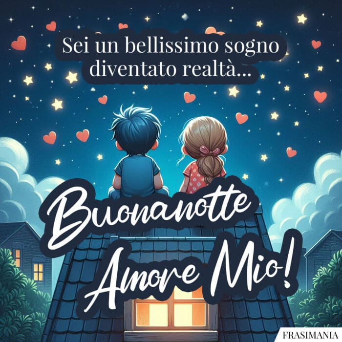 Sei un bellissimo sogno diventato realtà… Buonanotte Amore Mio!